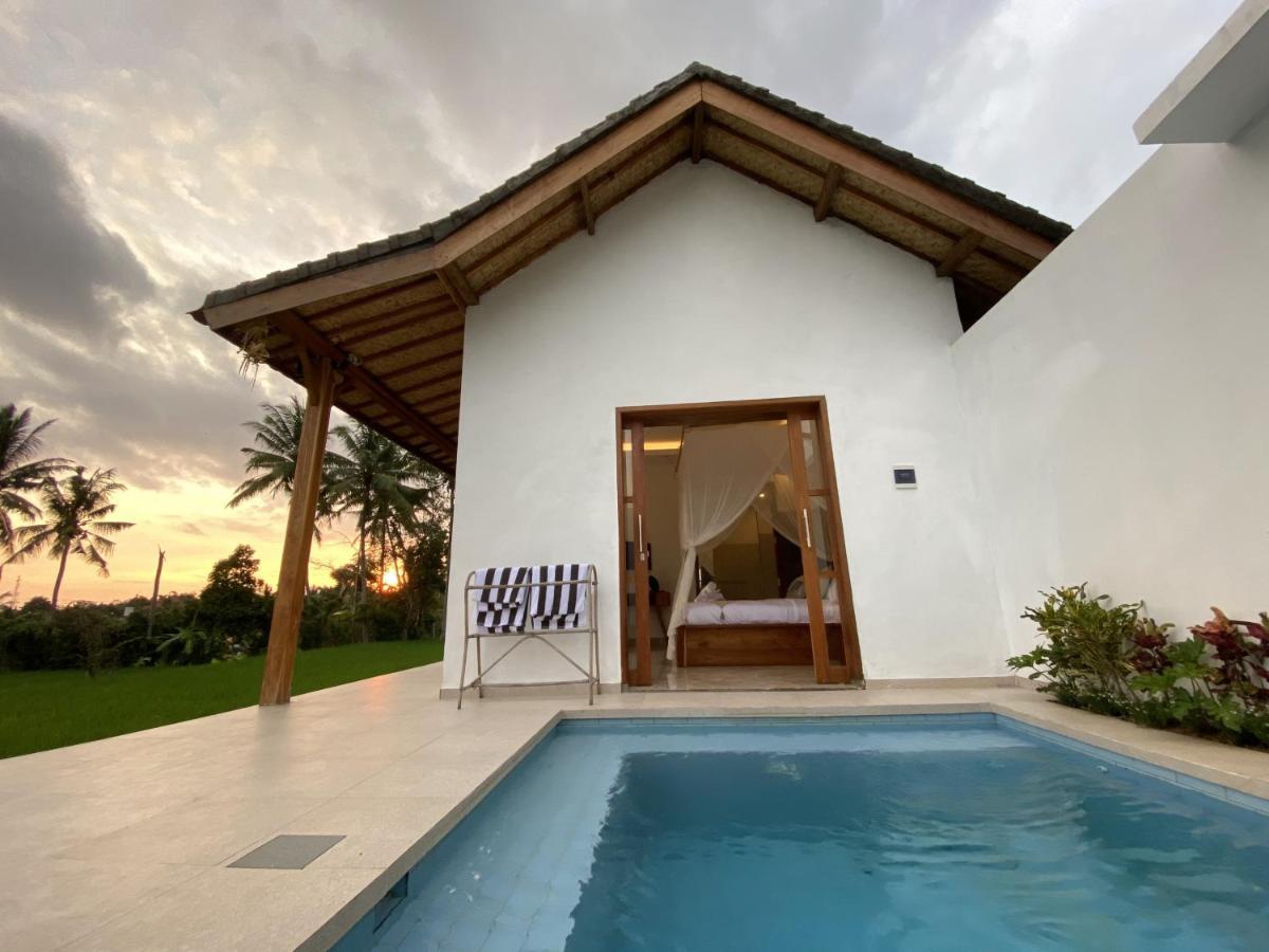 Luxury Ada Padi One Bed Pousada